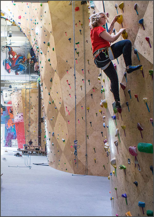 image of people in a rock climbing gym